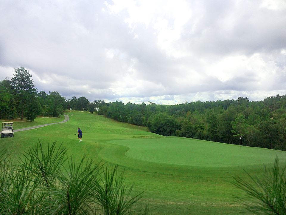 Blackstone Country Club: Black Stone, Courses